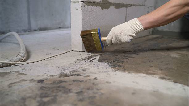 SJ Waterproofing Pros Waterproofing coverage map for Buhl, MN and surrounding area